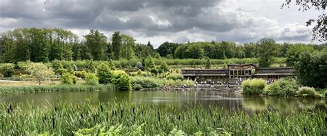 Plan your visit to Bedgebury National Pinetum and .